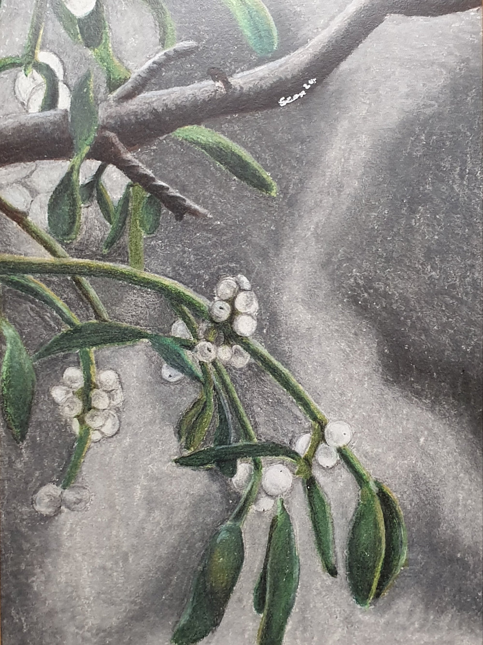 Mistletoe Greetings Card