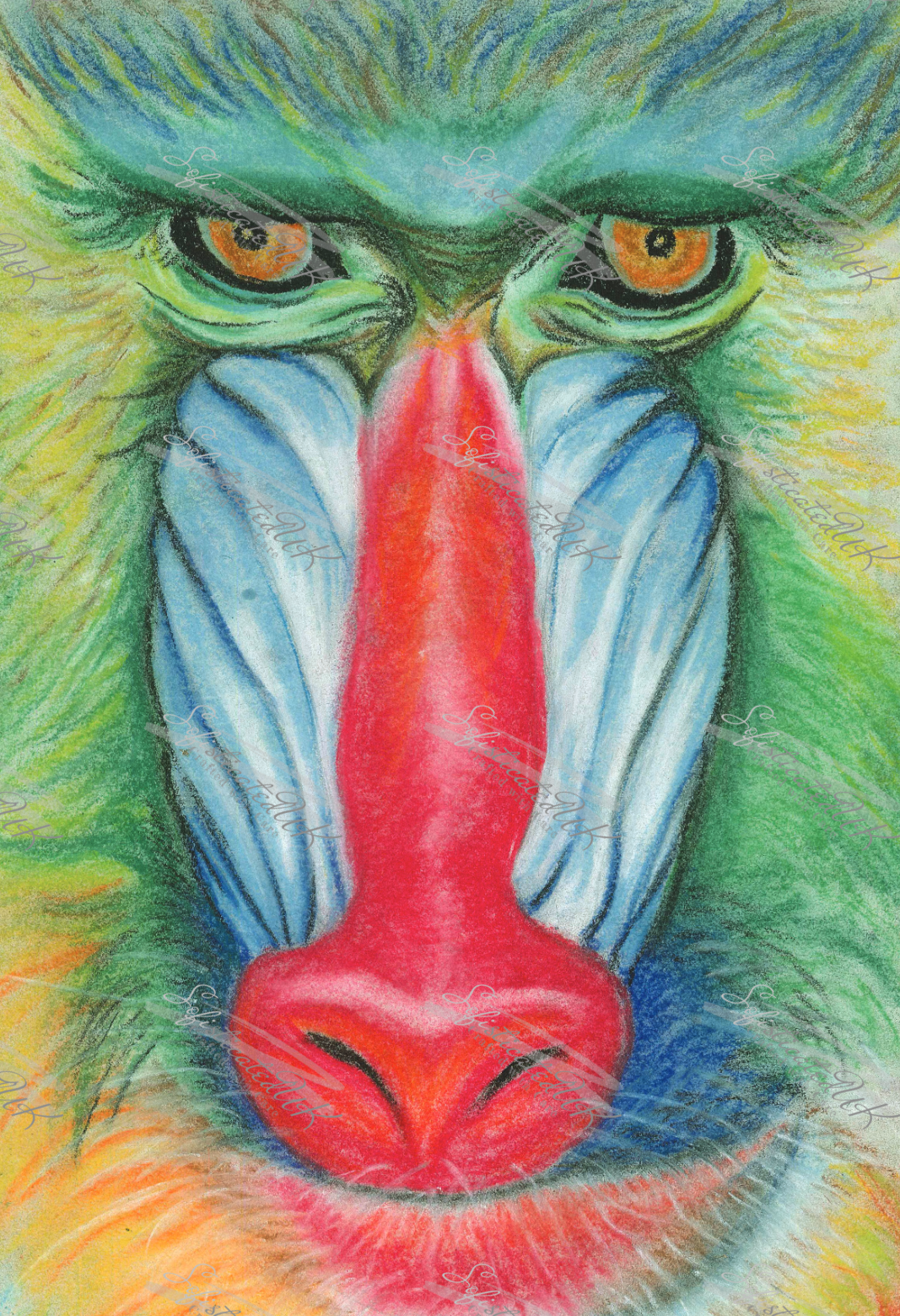 Colourful Baboon in Chalk Pastel Print