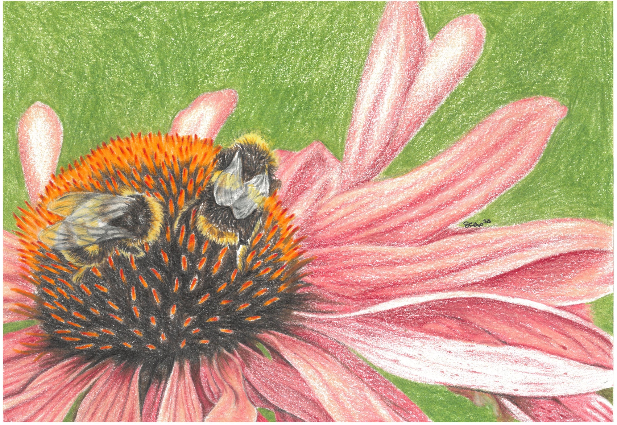 Bumble Bees A6 greetings card