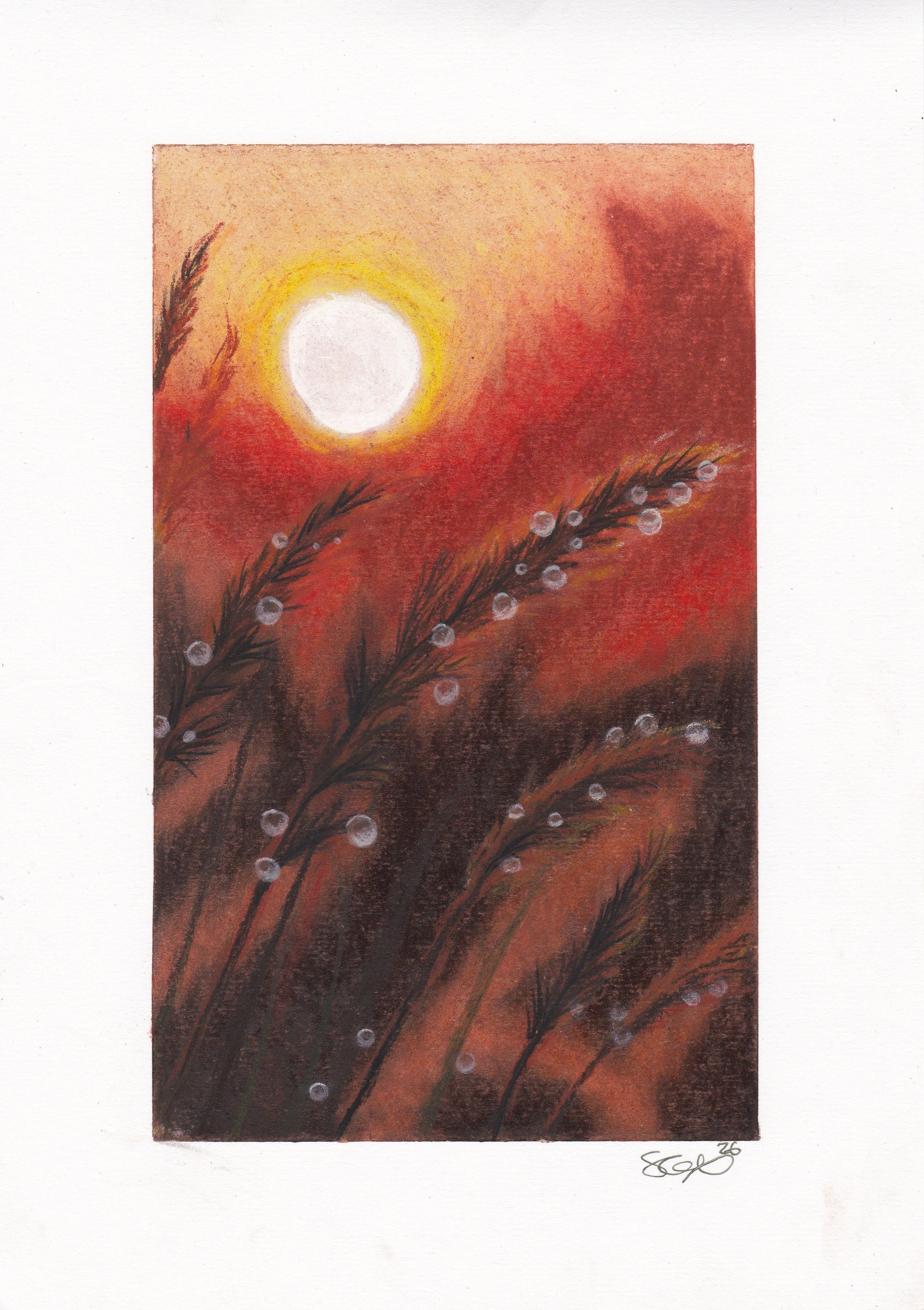 Dew Drops in Chalk Pastels — Original Piece