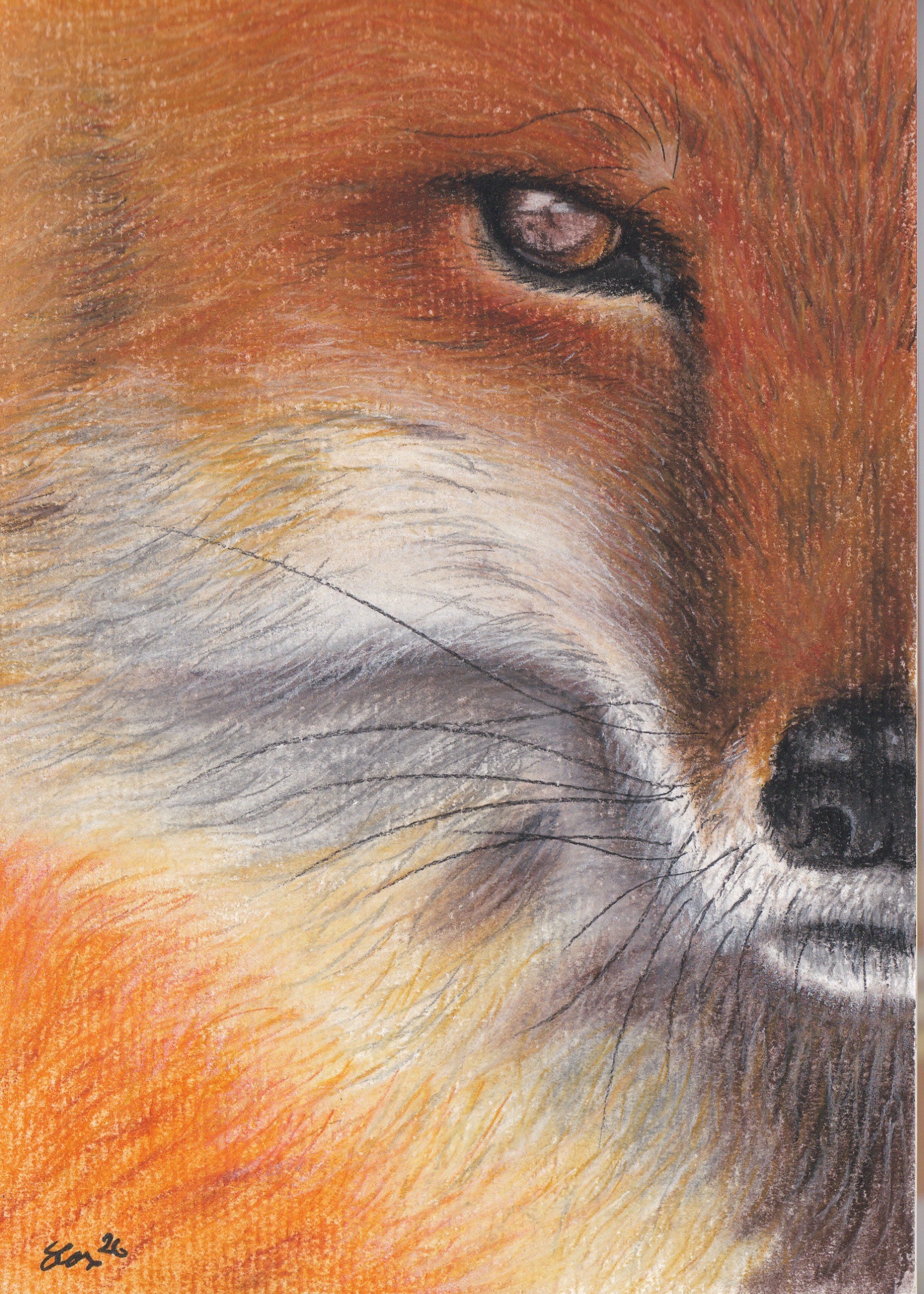 Intense Foxie in Chalk Pastel