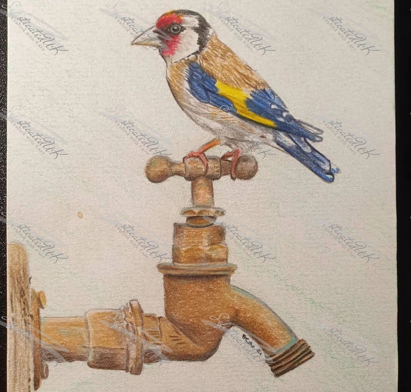 Colourful Goldfinch fine art print