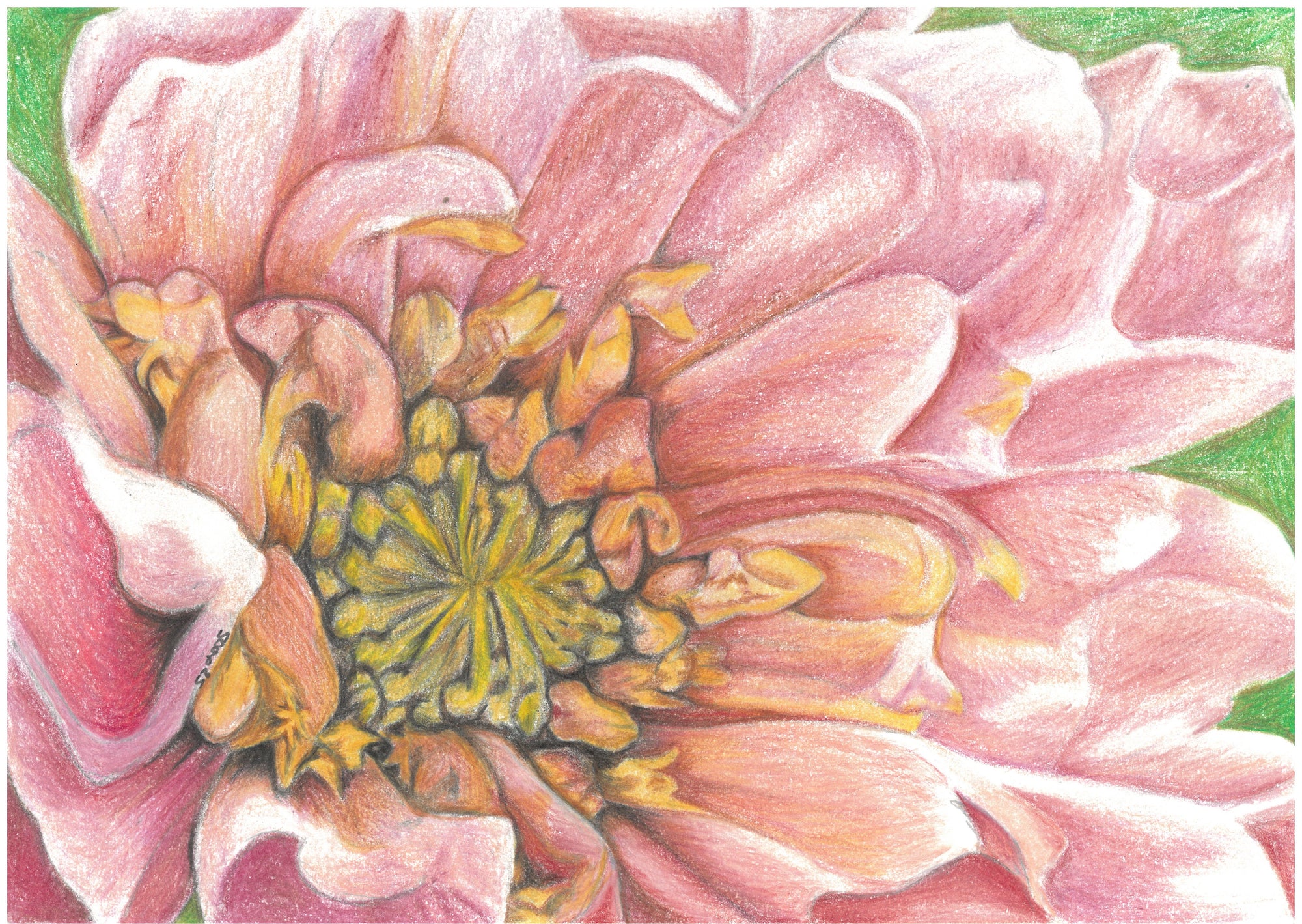 Pink flower A6 greetings card