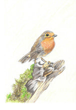 Load image into Gallery viewer, Curious Robin fine art print
